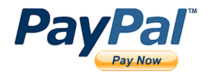 PayPal Pay Logo